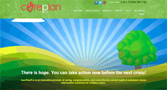 Desktop Screenshot of careplanpro.com